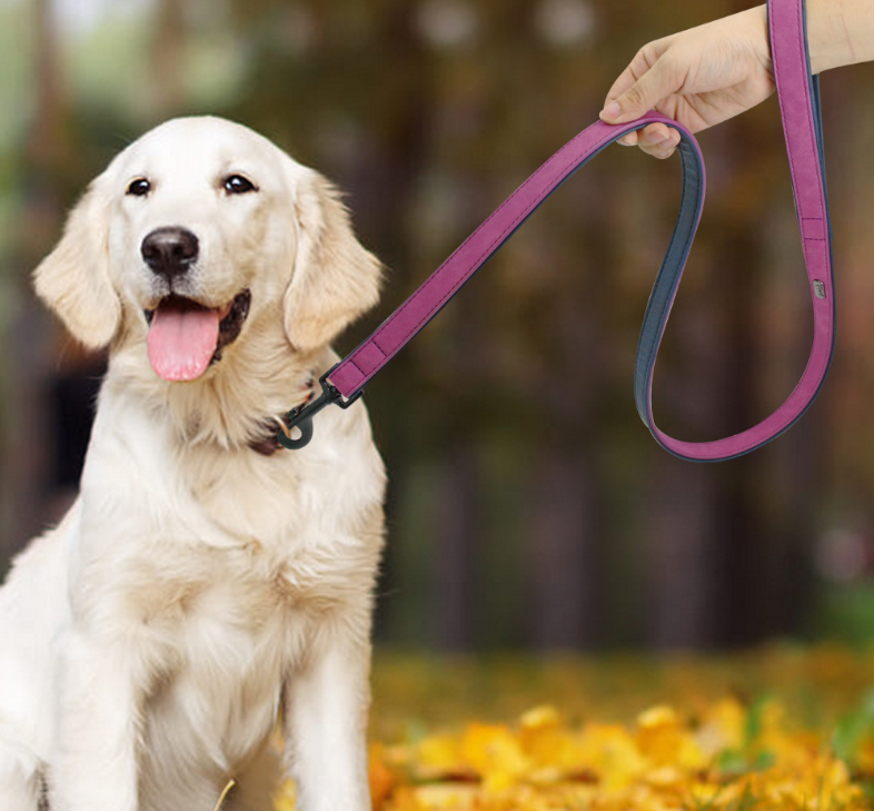 Dog Pull-resistant Leather Leash