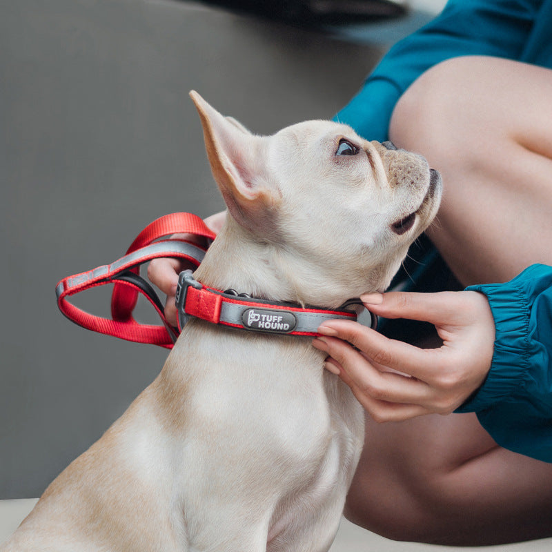 Adjustable Dog Collar