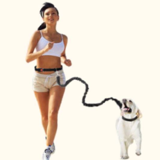 Nylon Dog Rope Sports for Pets