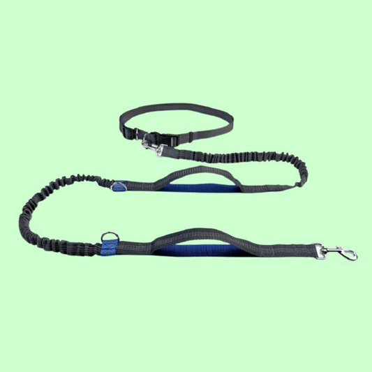 Multifunctional Pet Traction Rope