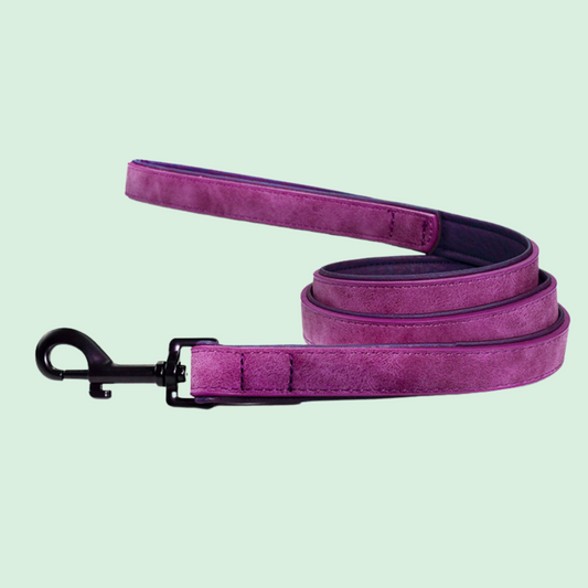Dog Pull-resistant Leather Leash