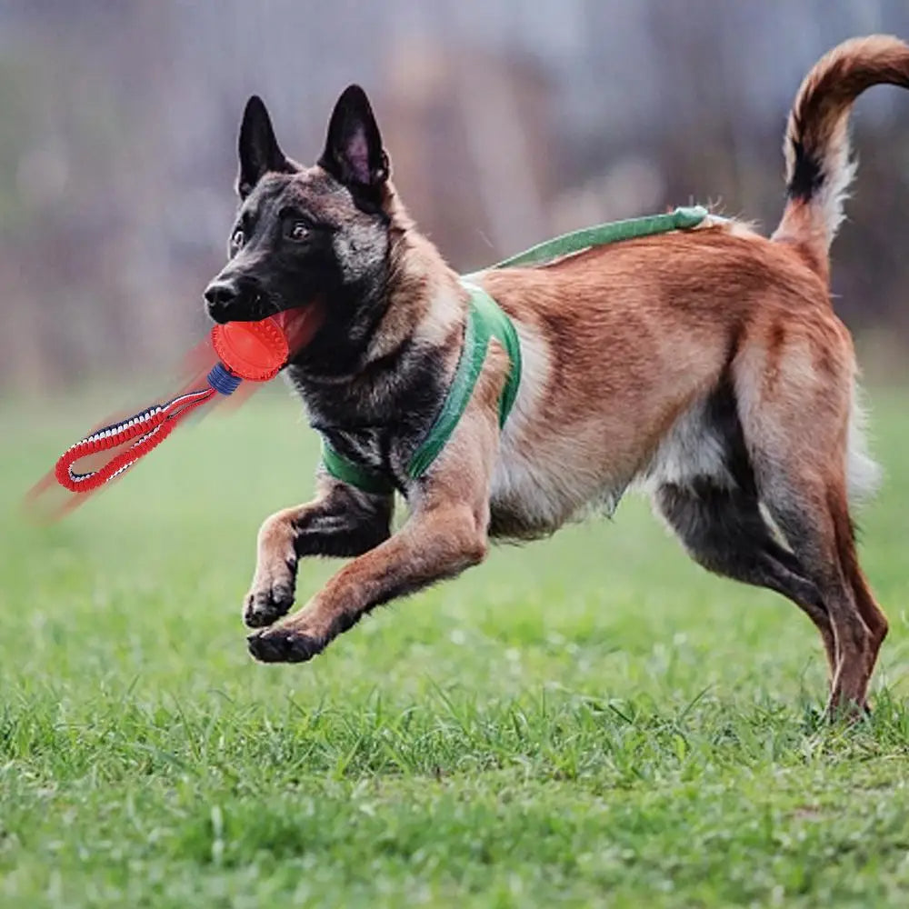 Dog Toy Ball Teether With Rope
