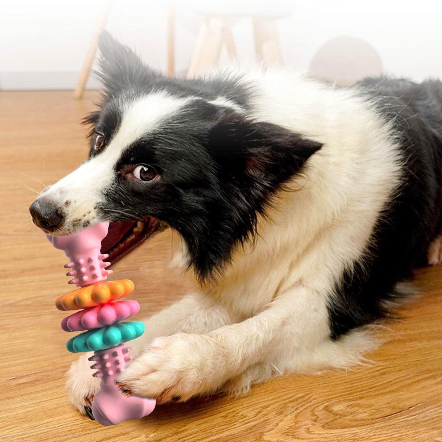 Dog Chew Toy Bone